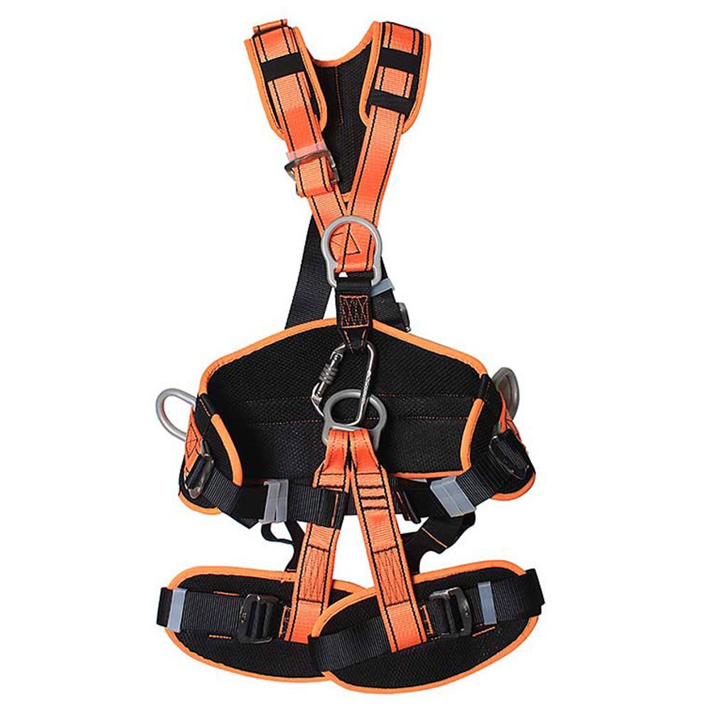 salomon snowboard